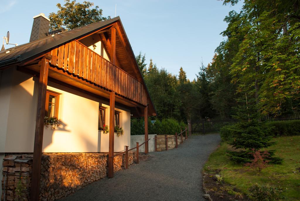 Altenberg Haus Waldfrieden 아파트 외부 사진