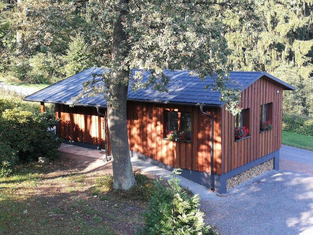 Altenberg Haus Waldfrieden 아파트 외부 사진