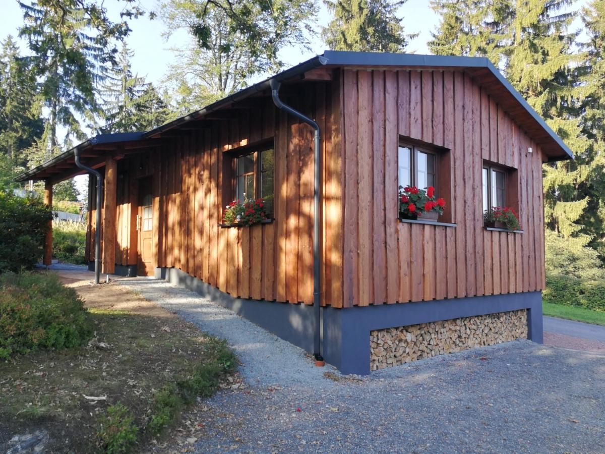 Altenberg Haus Waldfrieden 아파트 외부 사진