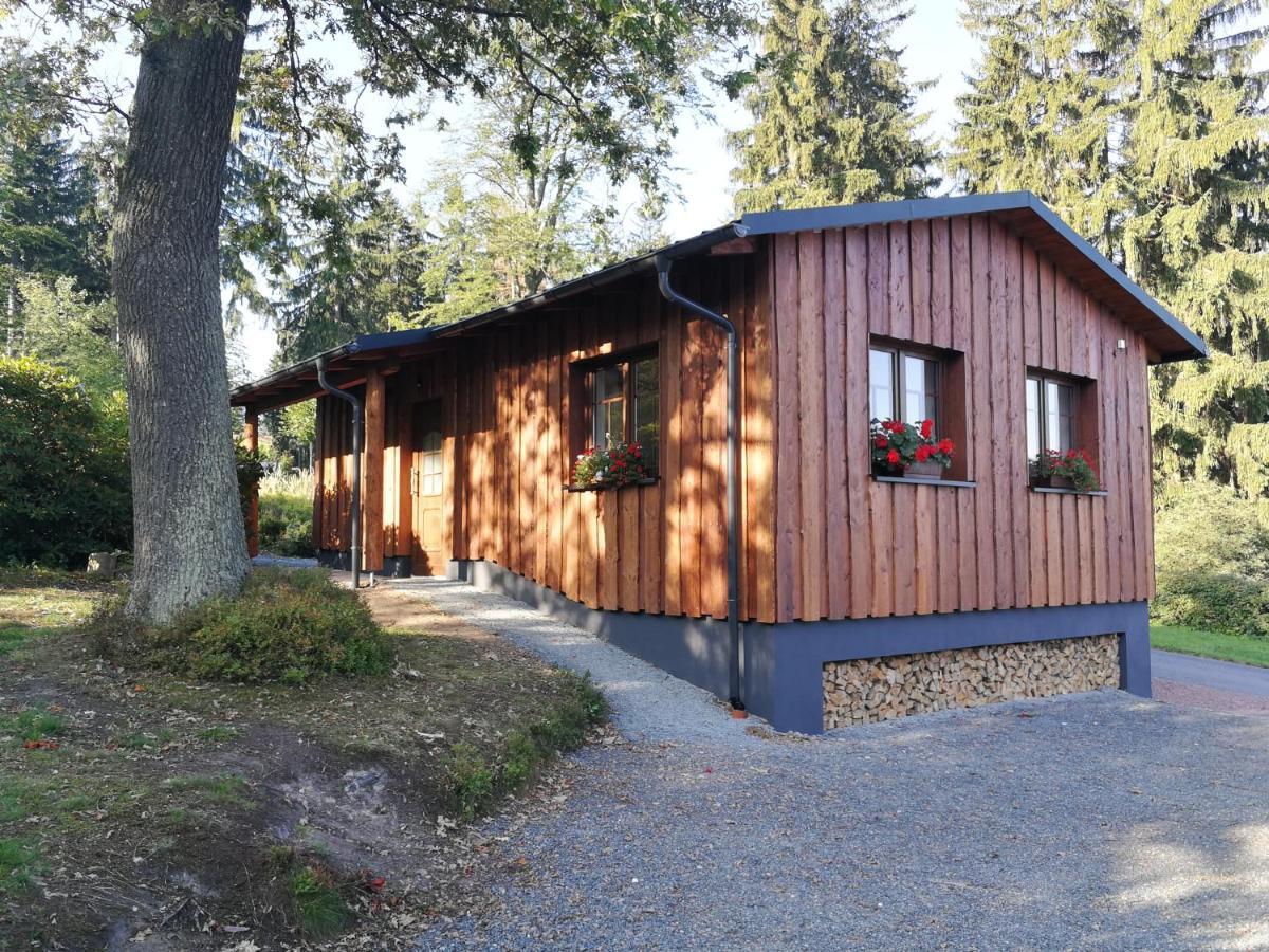 Altenberg Haus Waldfrieden 아파트 외부 사진